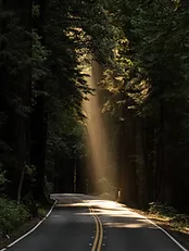 caminos